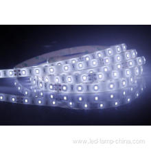 12V standard 2835 LED Strip light